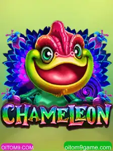 OITOM9.COM Casino App